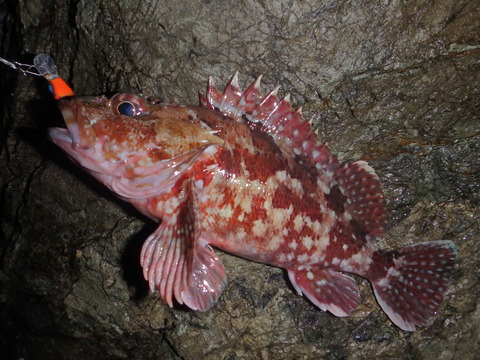 P5250384