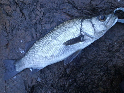 P3290013