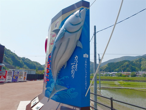 P4250019