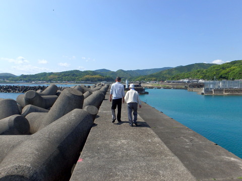 P5010225