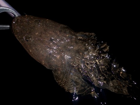 PB050014