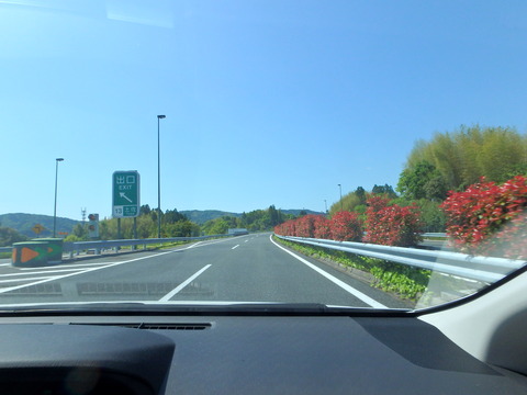 P5010220