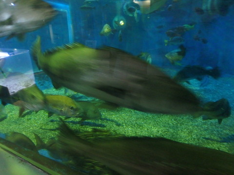 P5030295