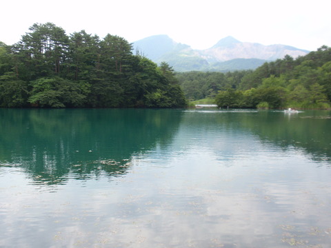 P8060017