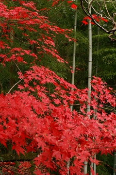 PICT0014