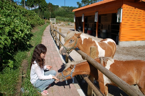 �˥󥸥��繥��