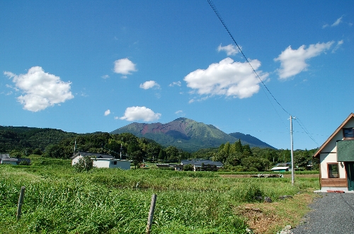 ̸��ɥ饤��