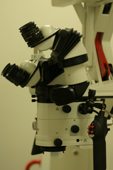 leica