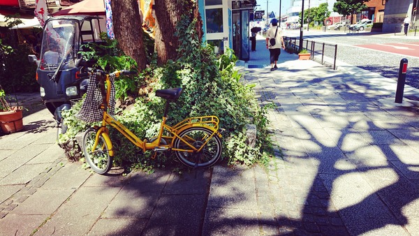 IMG_20180706_015137_929