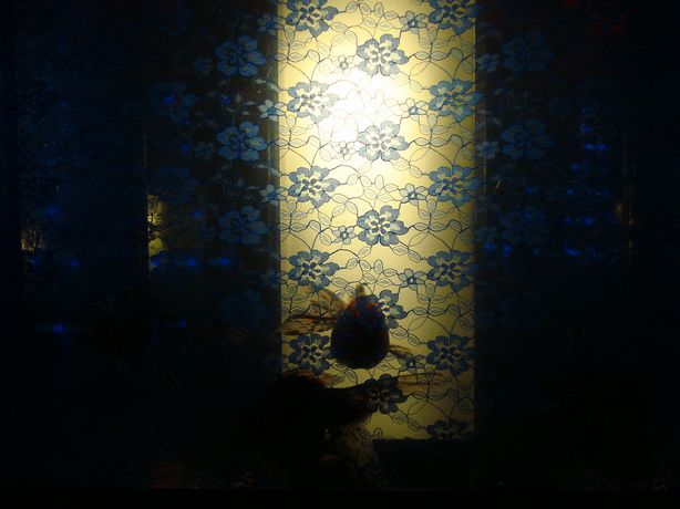 DSC01008
