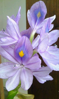 6b9a782a.jpg