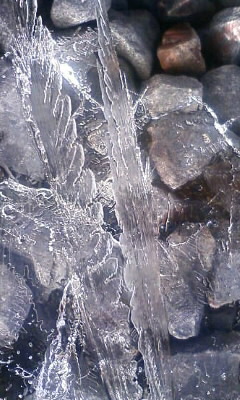 71c43e65.jpg