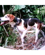 d4acd577.jpg