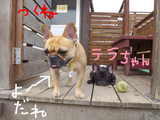 BlogPaint