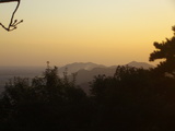 山