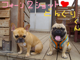 BlogPaint