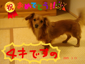BlogPaint