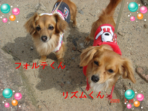 BlogPaint