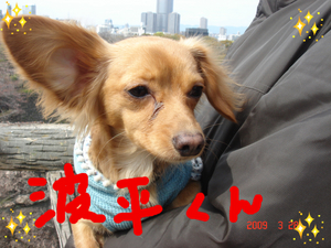 BlogPaint