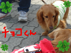 BlogPaint