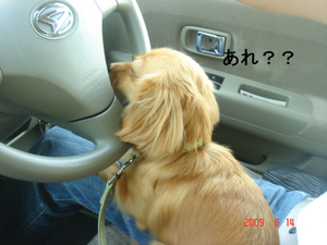 BlogPaint
