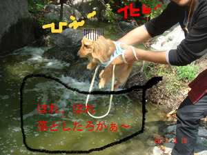 BlogPaint