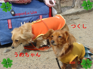 BlogPaint