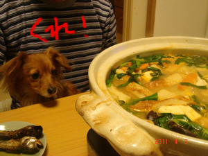11040319.DSC03593.JPG