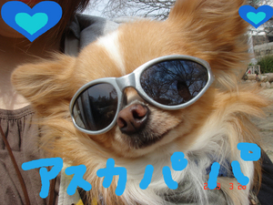 BlogPaint