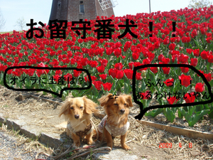 BlogPaint