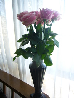 P1060298