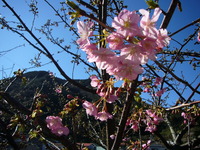 P1020800