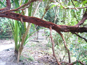 P1050902