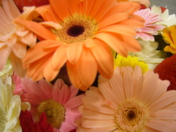 P1050224