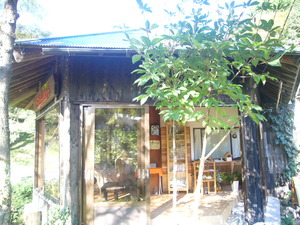 P1050631