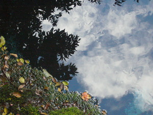 P1060140