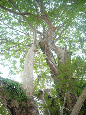 P1050761