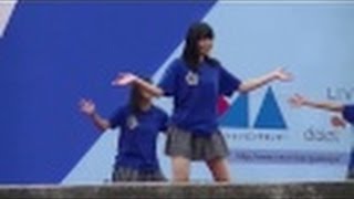 【よさこい祭り】見せパンよりも太ももに目が行くぞ！