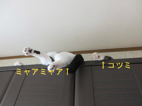 BlogPaint