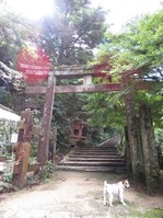 170918宮島弥山 (8)