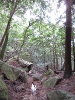 170918宮島弥山 (31)