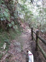 170918宮島弥山 (33)