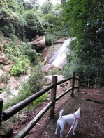170918宮島弥山 (15)
