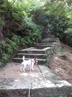 170918宮島弥山 (17)