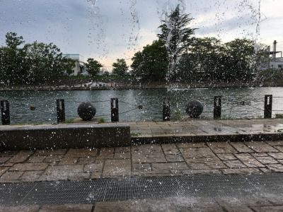 s_IMG_1282