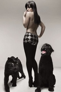 agpiZWViZWUyc2VlchQLEgxJbWFnZUFuZFRleHQY7KoNDA