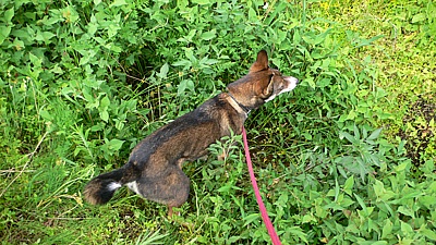 01801cc8.jpg