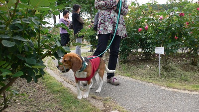 P1160650_resize1