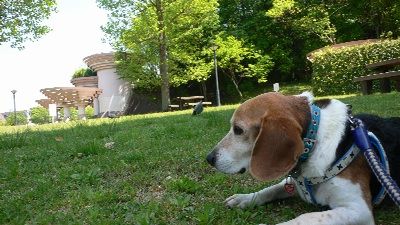 P1300636_resize1