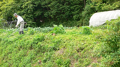 1005a199.jpg